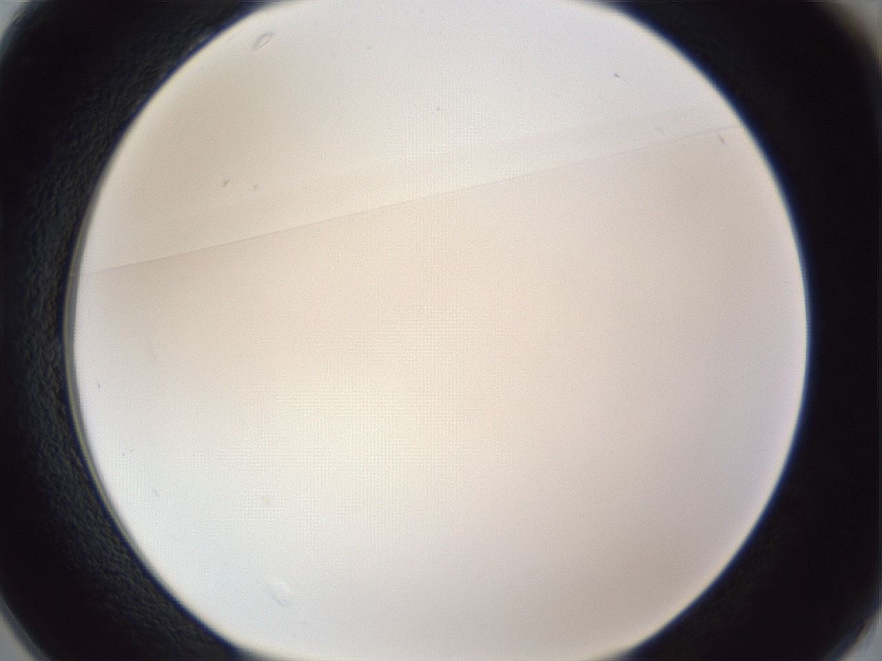 folderID167_plateID1167_batchID3070_wellNum25_profileID1_d1_r61519_ef.jpg