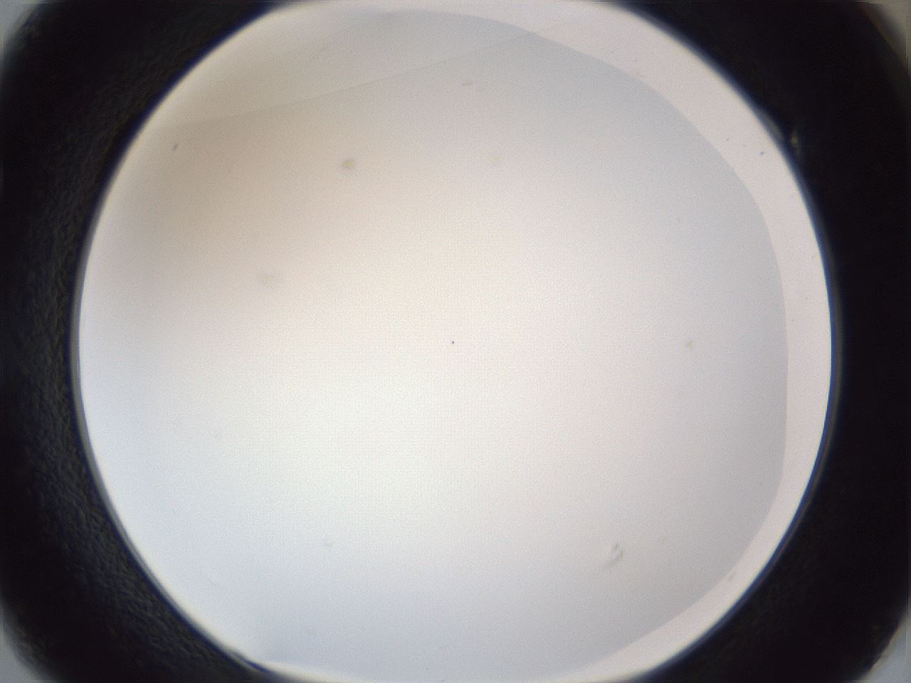 folderID167_plateID1167_batchID3070_wellNum49_profileID1_d1_r61567_ef.jpg