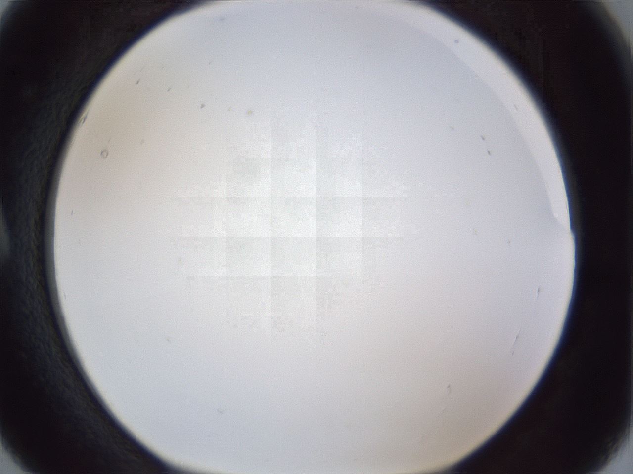 folderID167_plateID1167_batchID3070_wellNum5_profileID1_d1_r61479_ef.jpg