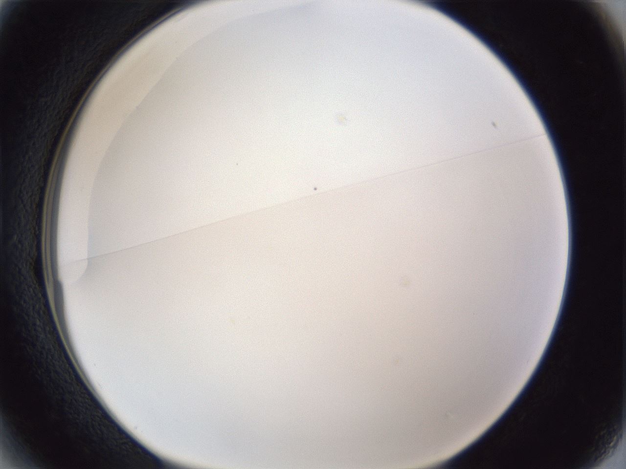 folderID167_plateID1167_batchID3123_wellNum13_profileID1_d1_r61495_ef.jpg