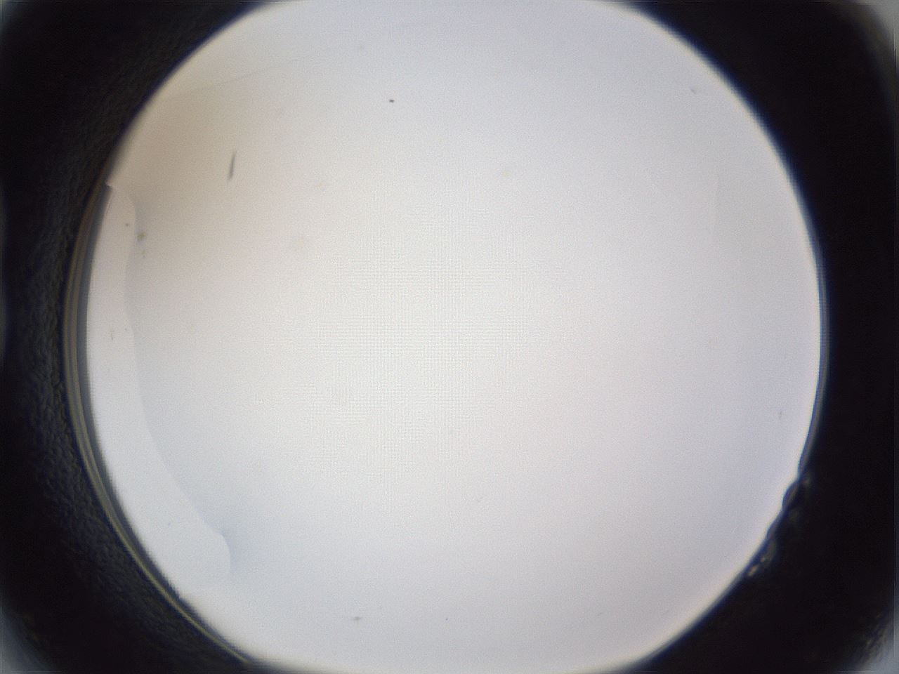 folderID167_plateID1167_batchID3123_wellNum14_profileID1_d1_r61497_ef.jpg