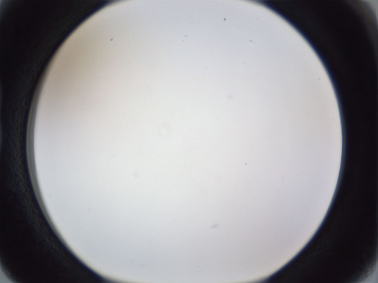 folderID167_plateID1167_batchID3123_wellNum15_profileID1_d1_r61499_ef.jpg