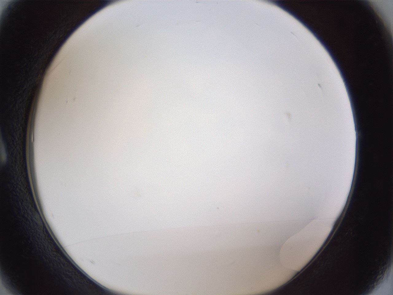 folderID167_plateID1167_batchID3123_wellNum1_profileID1_d1_r61471_ef.jpg