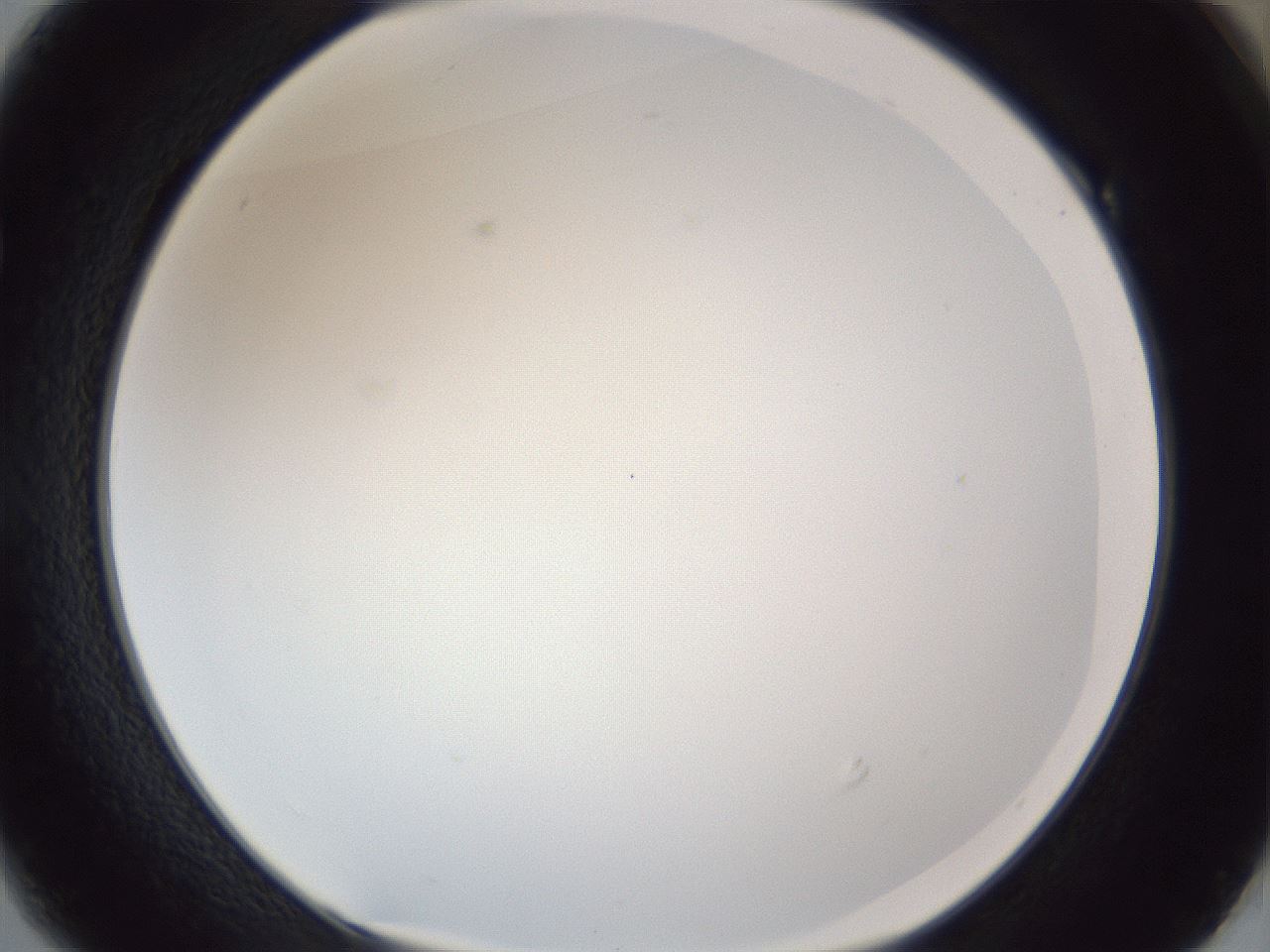 folderID167_plateID1167_batchID3123_wellNum49_profileID1_d1_r61567_ef.jpg