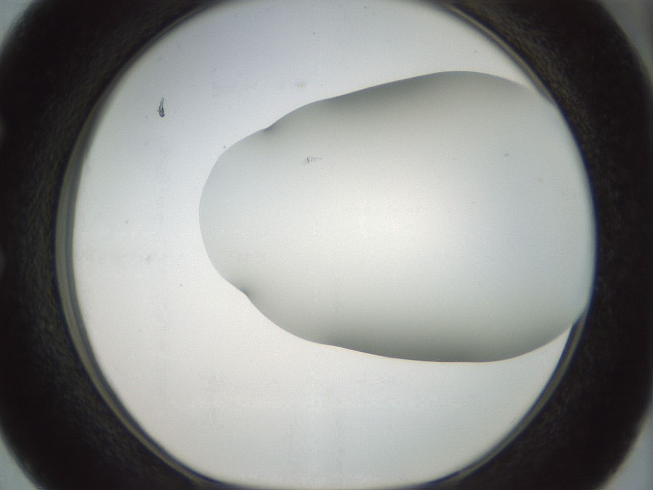 folderID168_plateID1168_batchID3177_wellNum50_profileID1_d1_r61712_ef.jpg