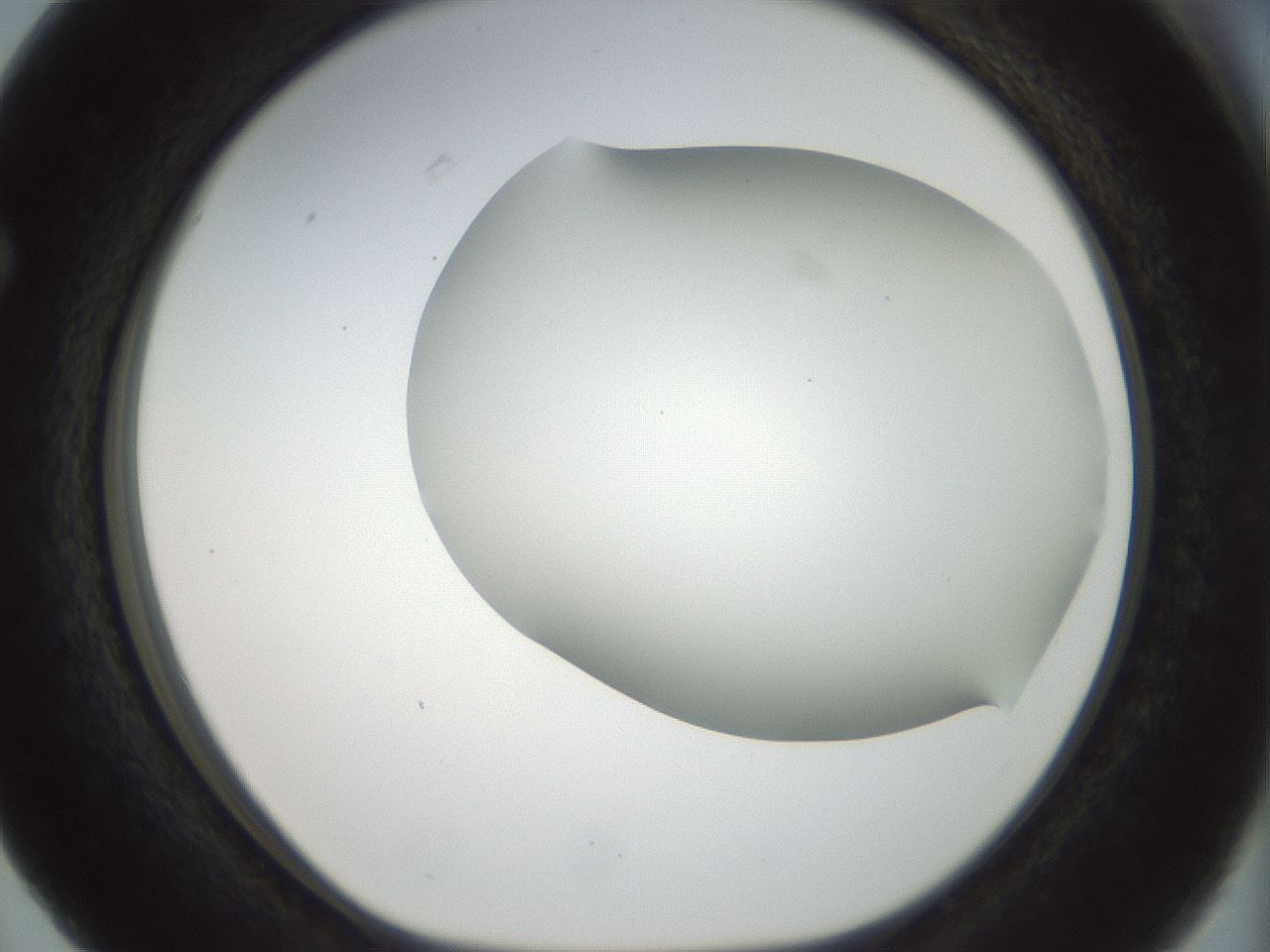 folderID168_plateID1168_batchID3177_wellNum63_profileID1_d1_r61725_ef.jpg