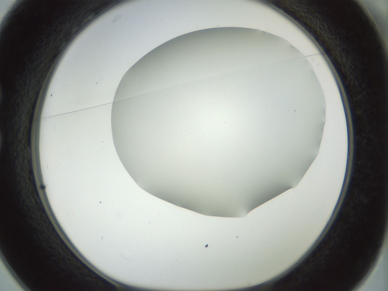 folderID169_plateID1169_batchID3178_wellNum25_profileID1_d1_r61783_ef.jpg