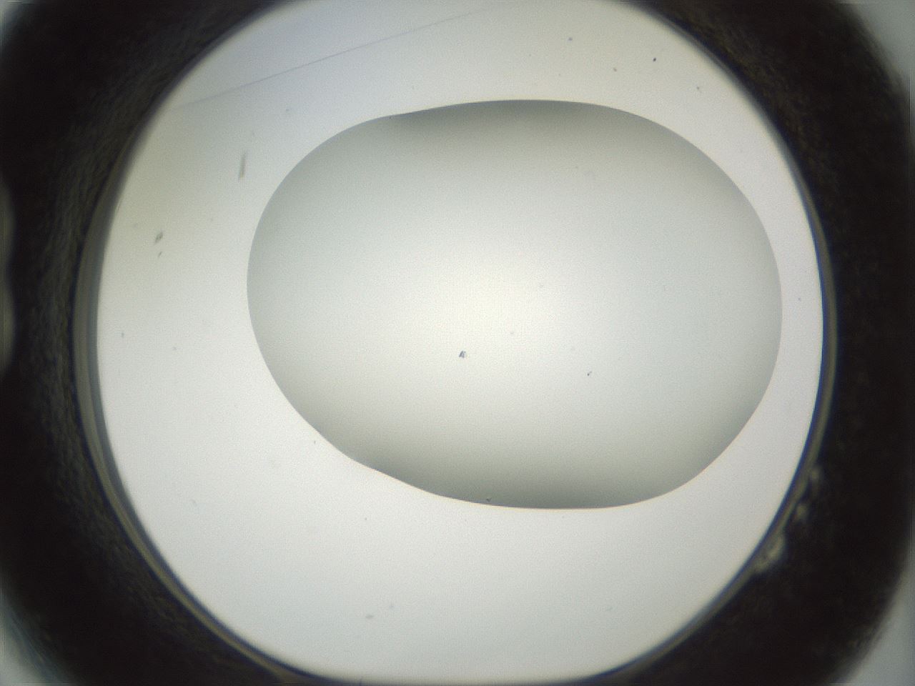 folderID168_plateID1168_batchID3177_wellNum14_profileID1_d1_r61676_ef.jpg