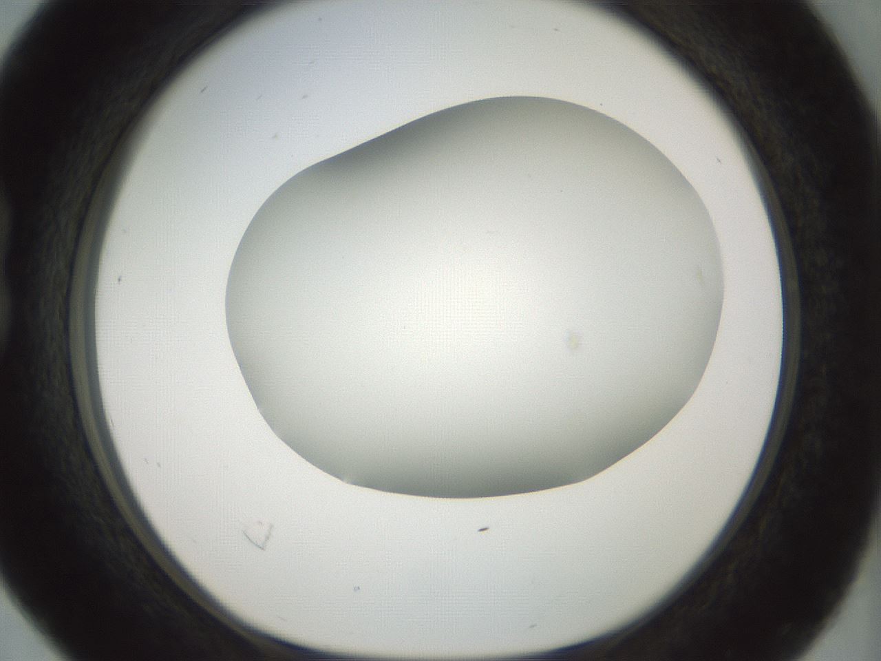 folderID168_plateID1168_batchID3177_wellNum16_profileID1_d1_r61678_ef.jpg
