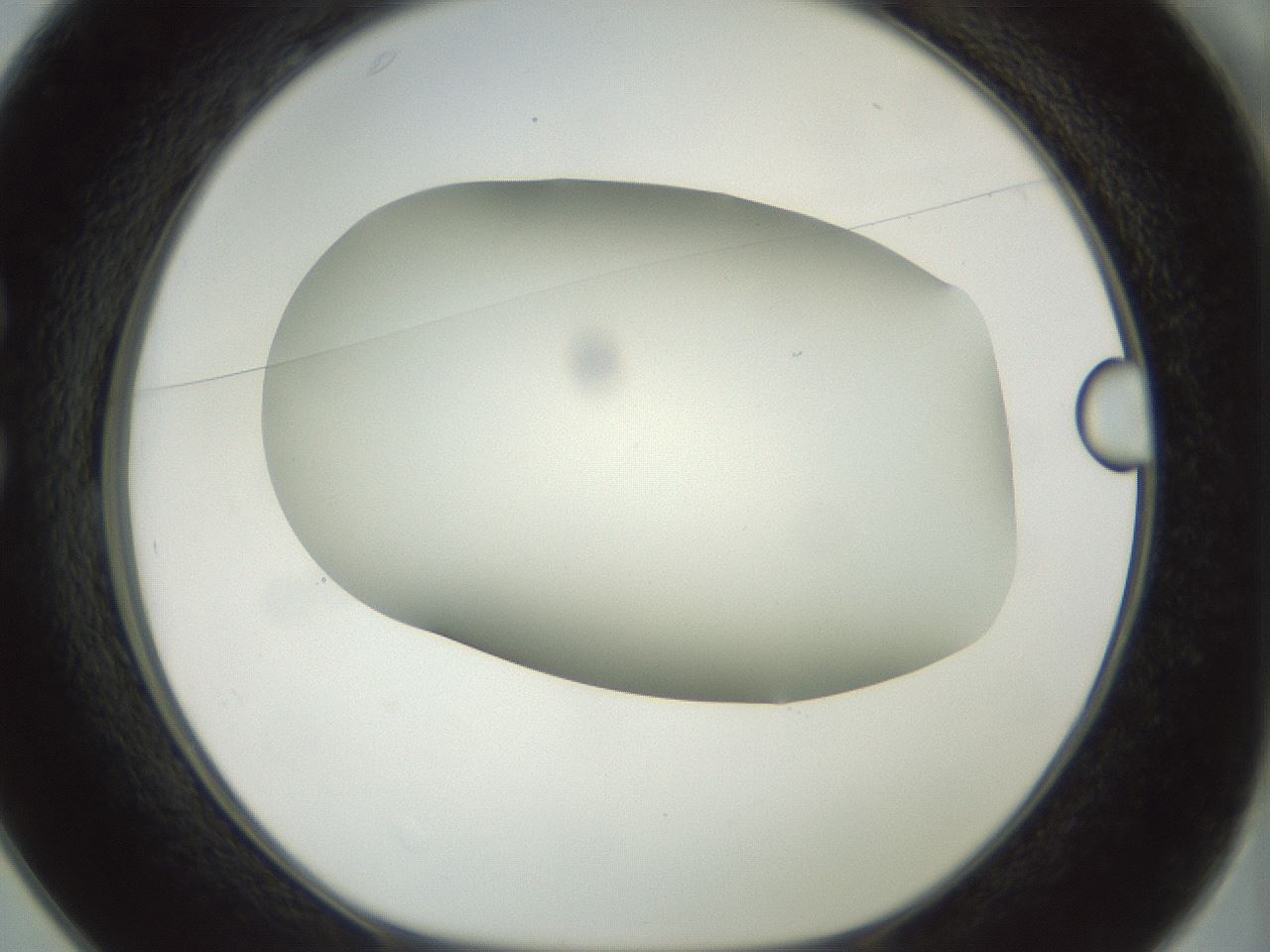 folderID168_plateID1168_batchID3177_wellNum25_profileID1_d1_r61687_ef.jpg