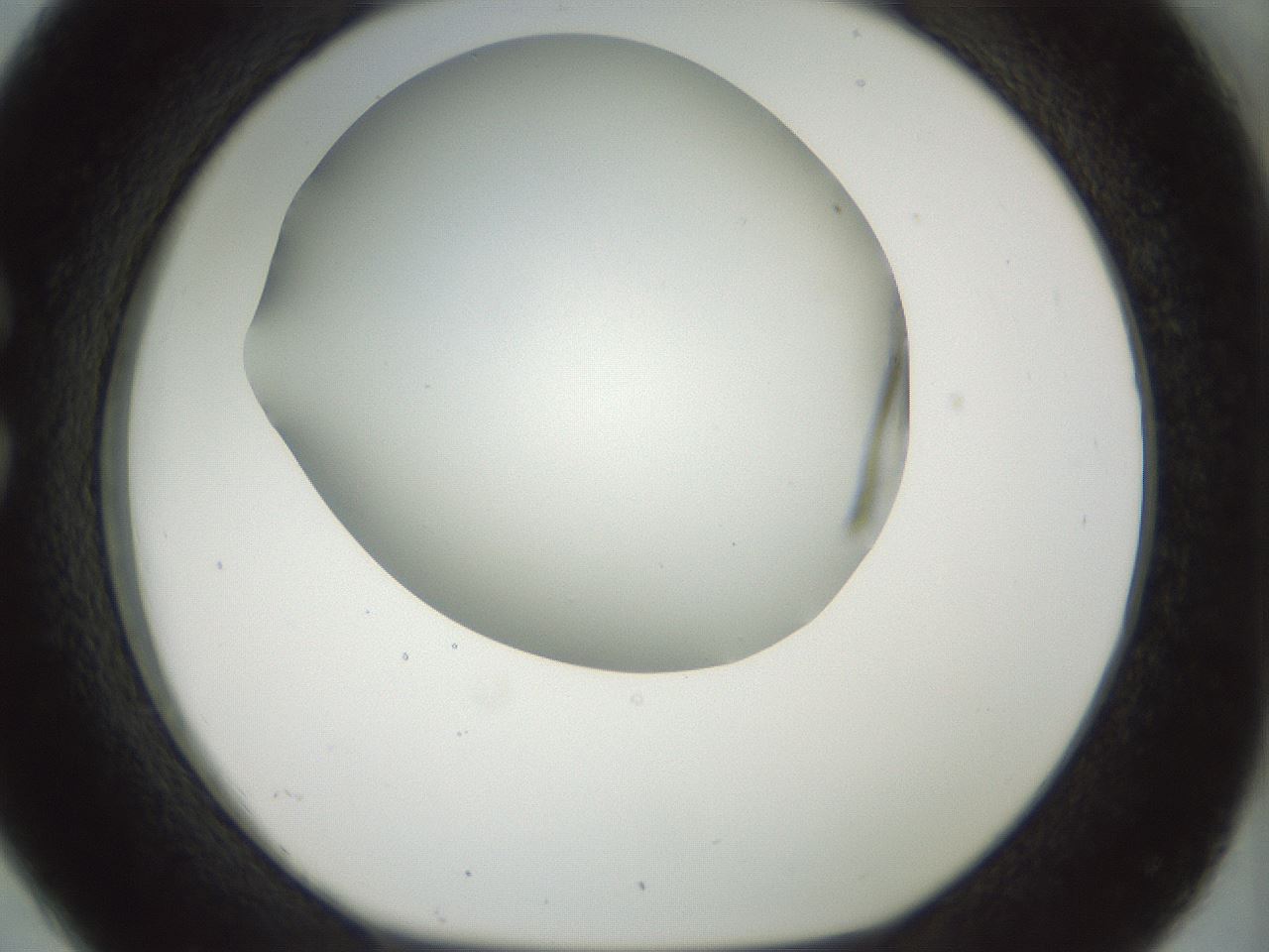folderID168_plateID1168_batchID3177_wellNum26_profileID1_d1_r61688_ef.jpg