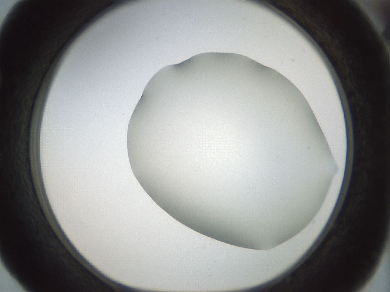 folderID168_plateID1168_batchID3177_wellNum52_profileID1_d1_r61714_ef.jpg