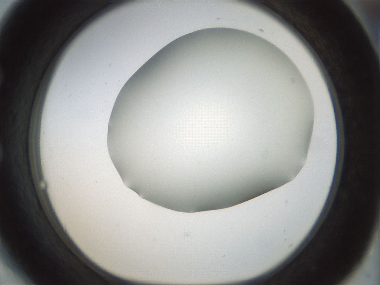 folderID168_plateID1168_batchID3177_wellNum54_profileID1_d1_r61716_ef.jpg