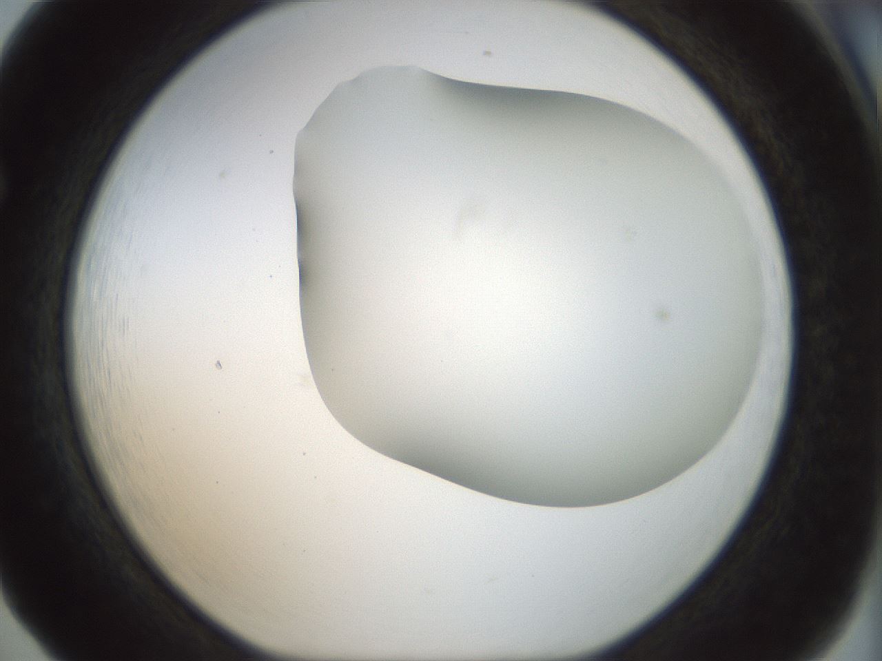 folderID168_plateID1168_batchID3177_wellNum65_profileID1_d1_r61727_ef.jpg