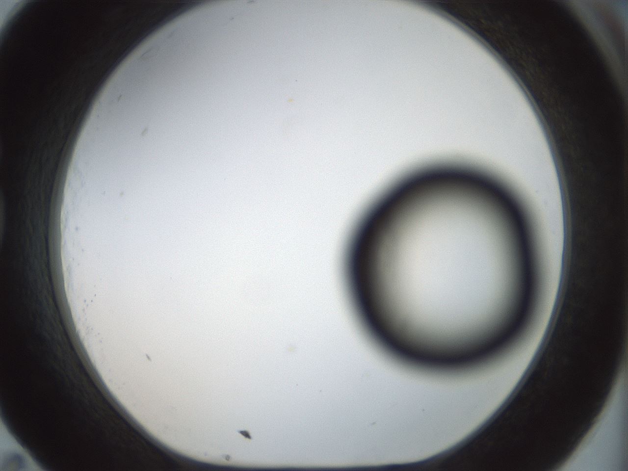 folderID168_plateID1168_batchID3177_wellNum83_profileID1_d1_r61745_ef.jpg
