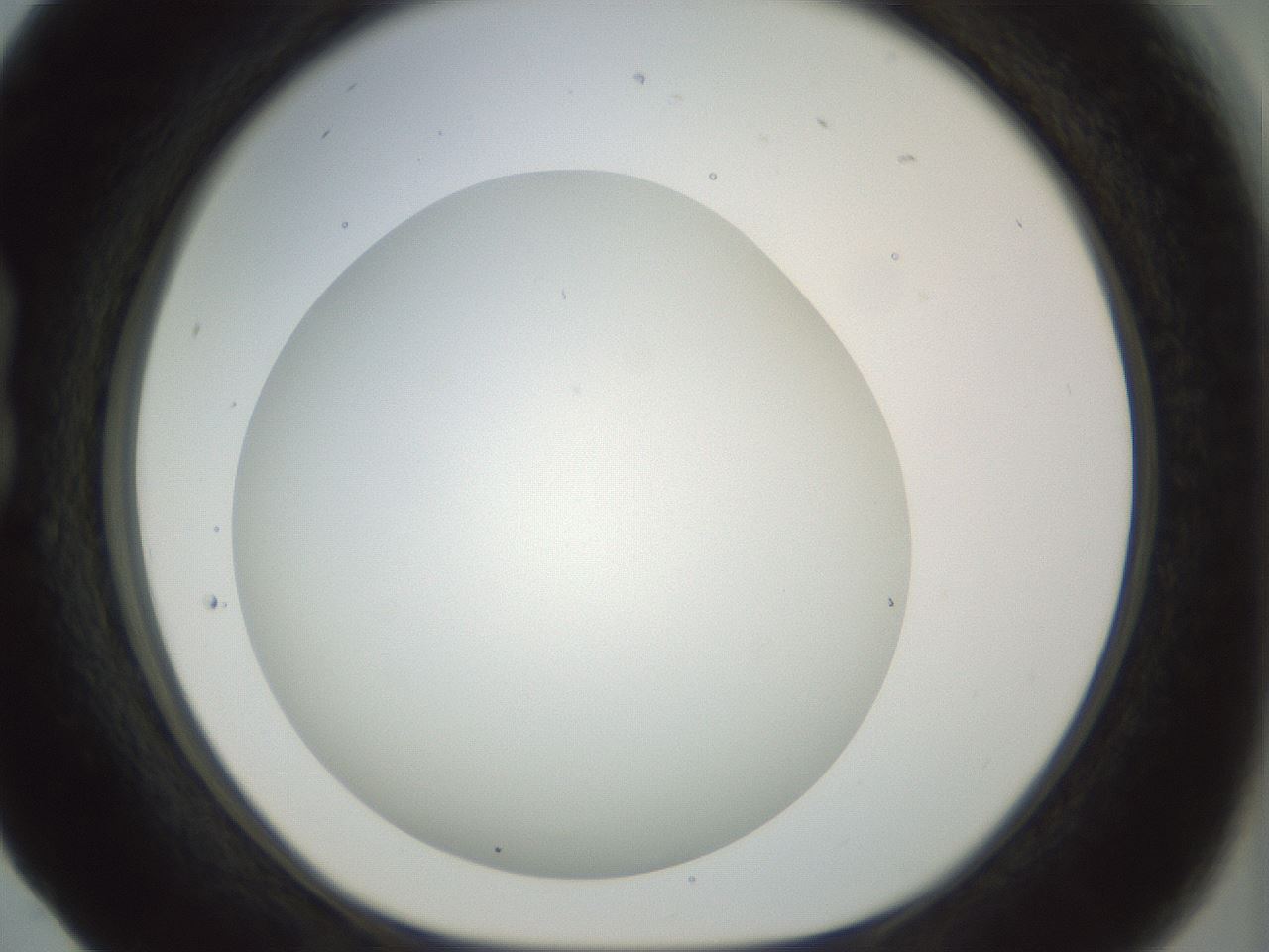 folderID169_plateID1169_batchID3178_wellNum17_profileID1_d1_r61775_ef.jpg
