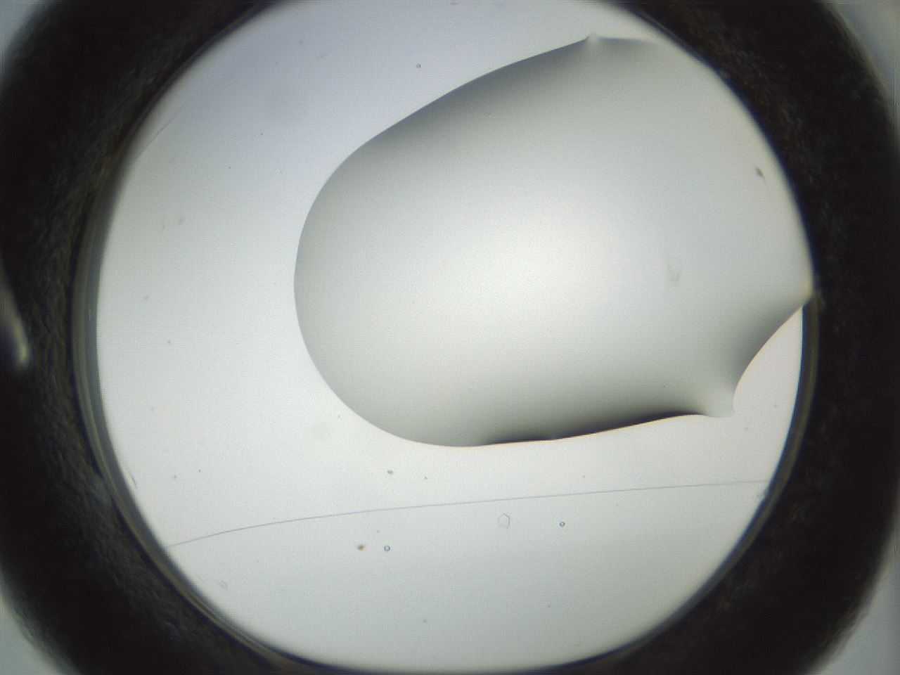 folderID169_plateID1169_batchID3178_wellNum1_profileID1_d1_r61759_ef.jpg