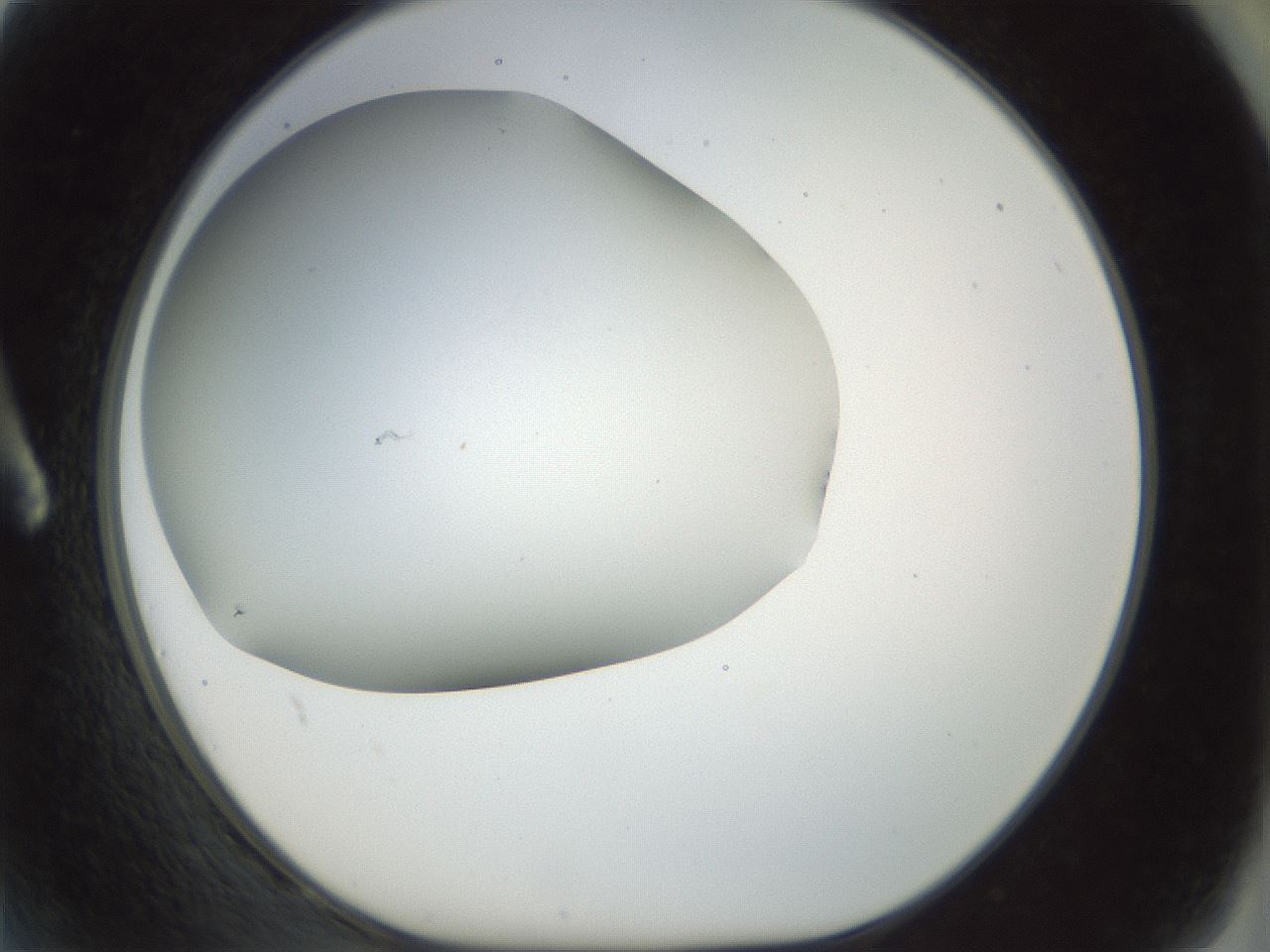 folderID169_plateID1169_batchID3178_wellNum2_profileID1_d1_r61760_ef.jpg