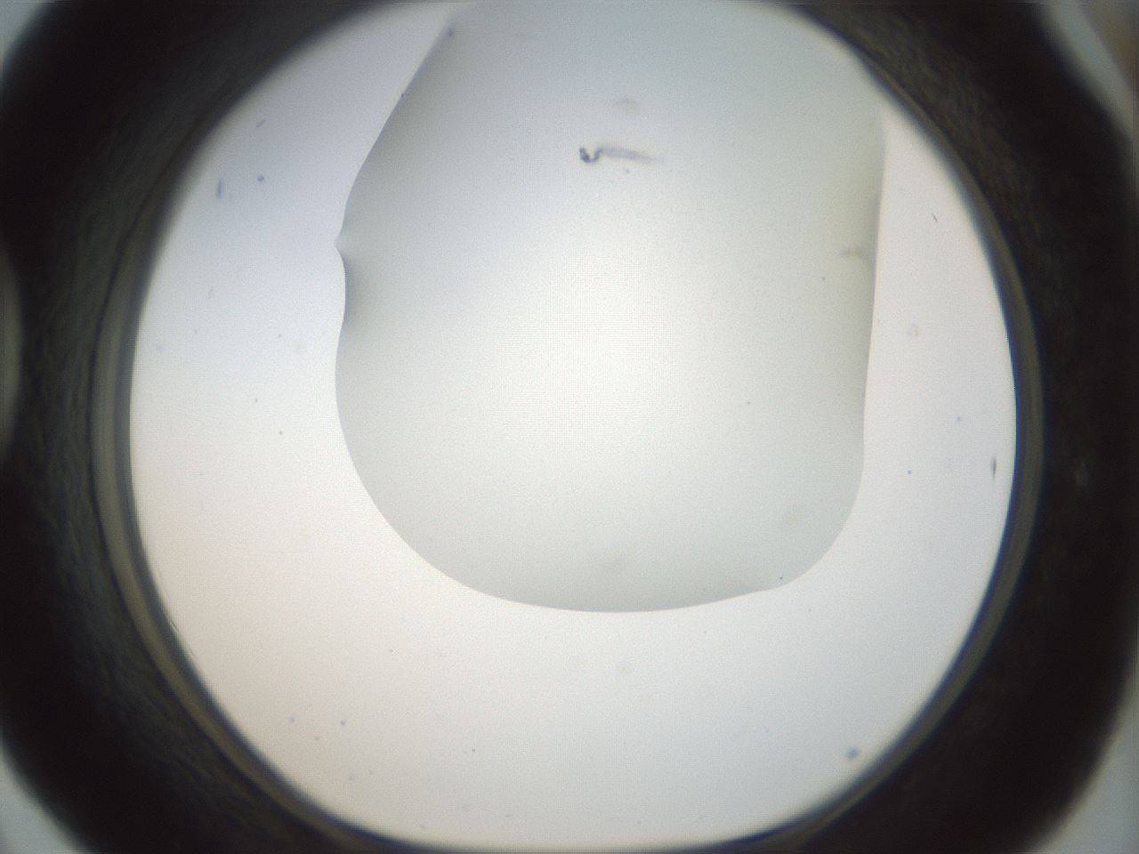 folderID169_plateID1169_batchID3178_wellNum42_profileID1_d1_r61800_ef.jpg