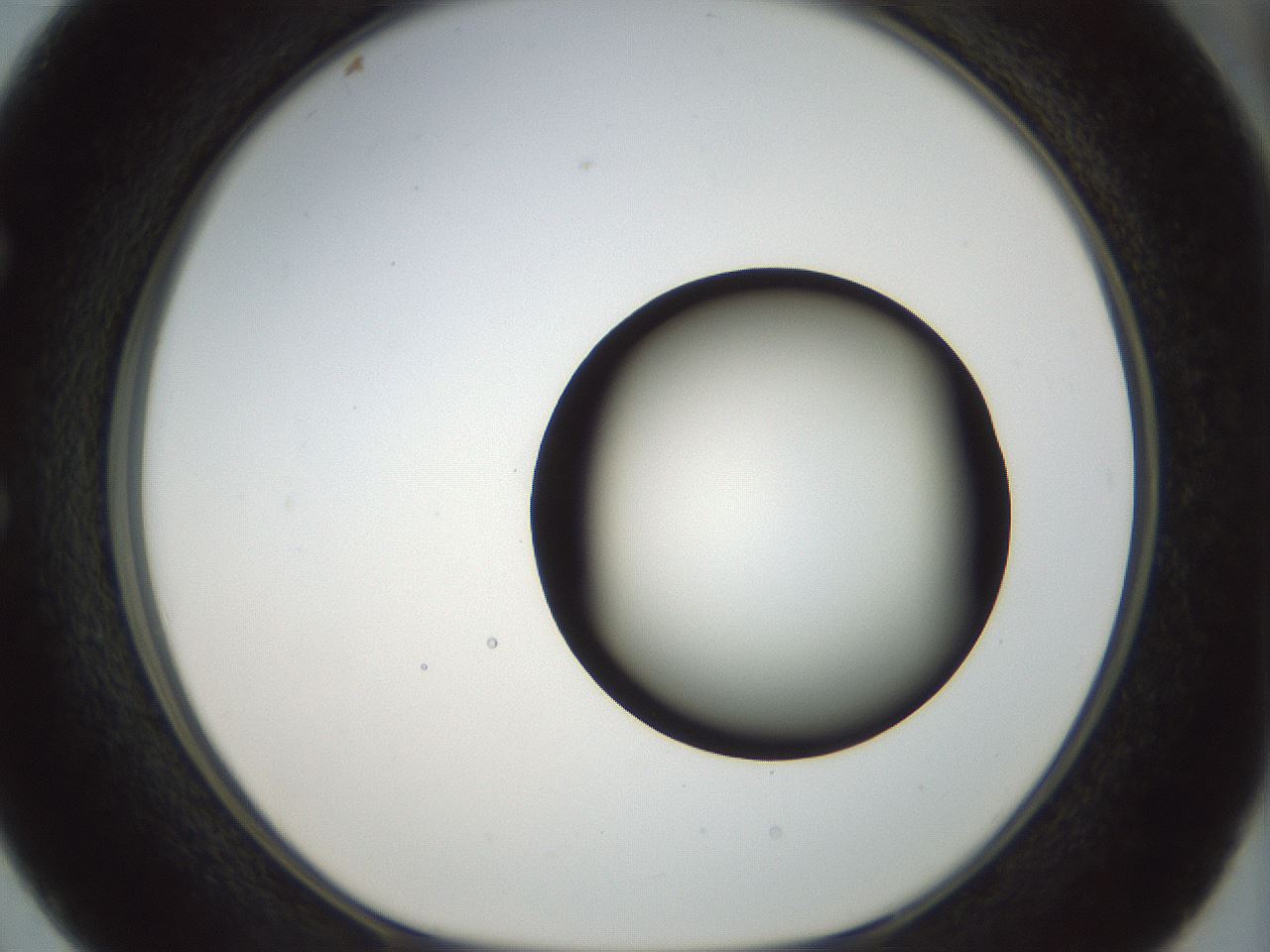 folderID169_plateID1169_batchID3178_wellNum50_profileID1_d1_r61808_ef.jpg