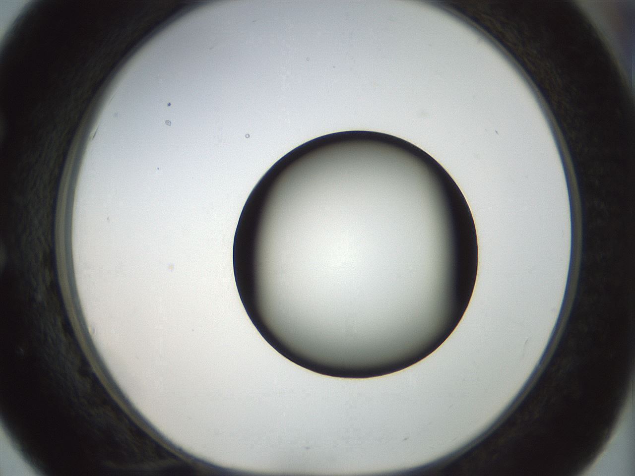 folderID169_plateID1169_batchID3178_wellNum51_profileID1_d1_r61809_ef.jpg