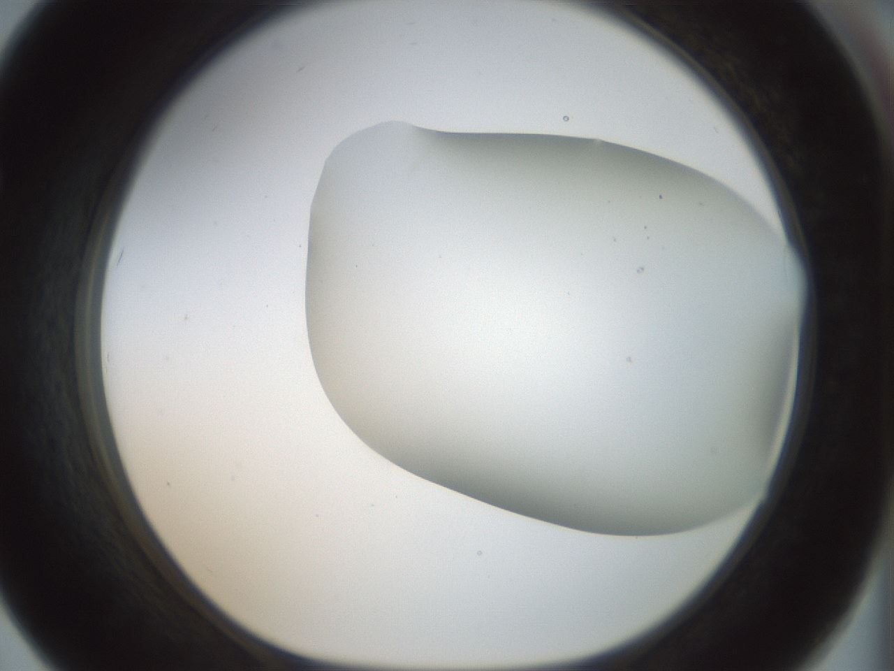 folderID169_plateID1169_batchID3178_wellNum67_profileID1_d1_r61825_ef.jpg