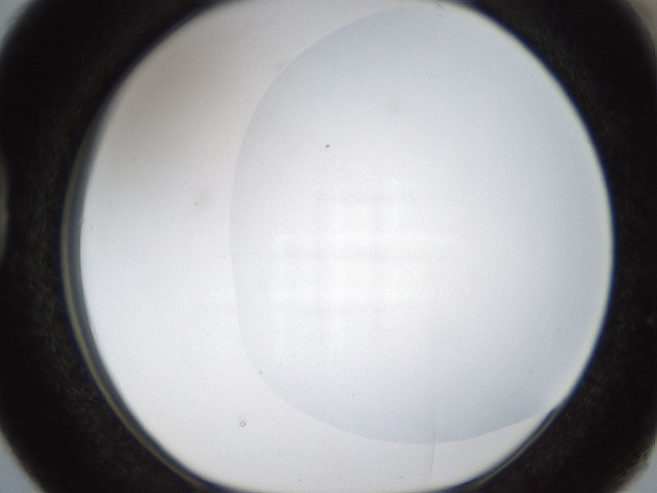 folderID16_plateID1016_batchID1885_wellNum38_profileID1_d1_r42921_ef.jpg