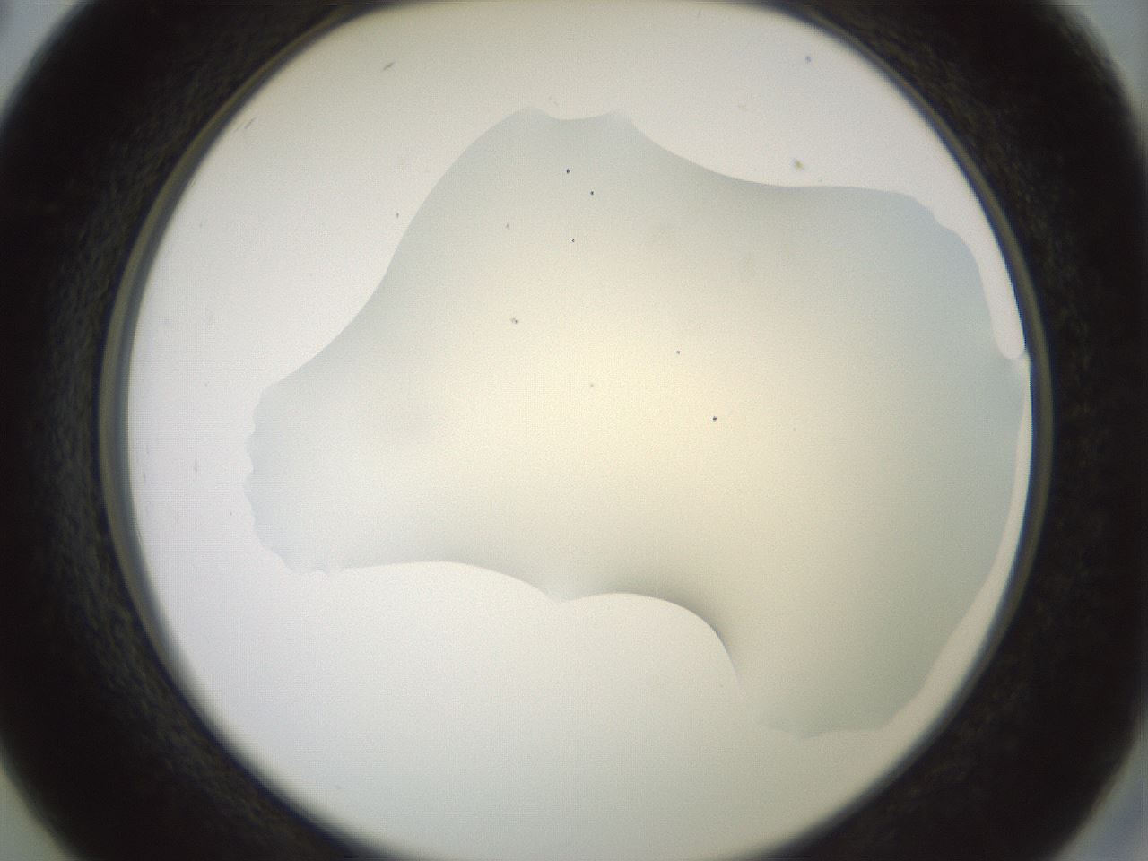 folderID16_plateID2016_batchID8964_wellNum26_profileID1_d2_r135901_ef.jpg