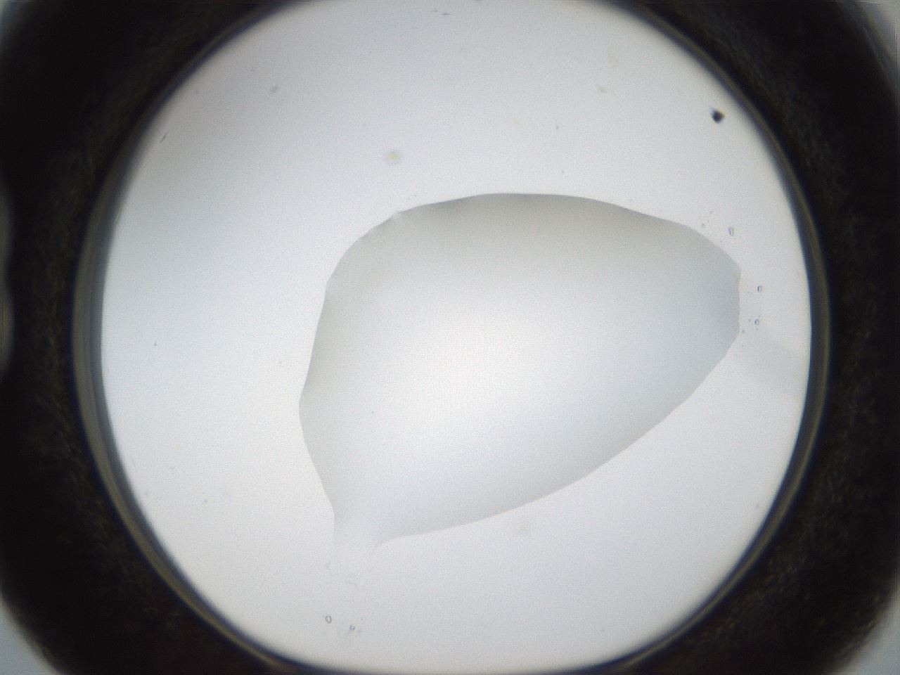 folderID16_plateID1016_batchID1885_wellNum15_profileID1_d1_r42898_ef.jpg