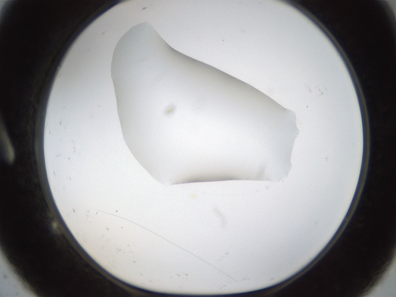 folderID16_plateID1016_batchID1885_wellNum9_profileID1_d1_r42892_ef.jpg