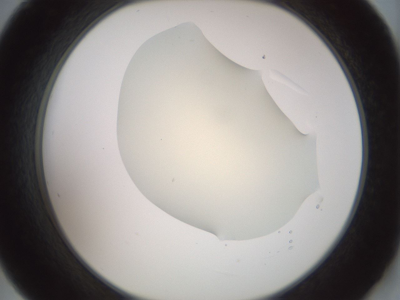 folderID16_plateID2016_batchID8964_wellNum21_profileID1_d2_r135891_ef.jpg