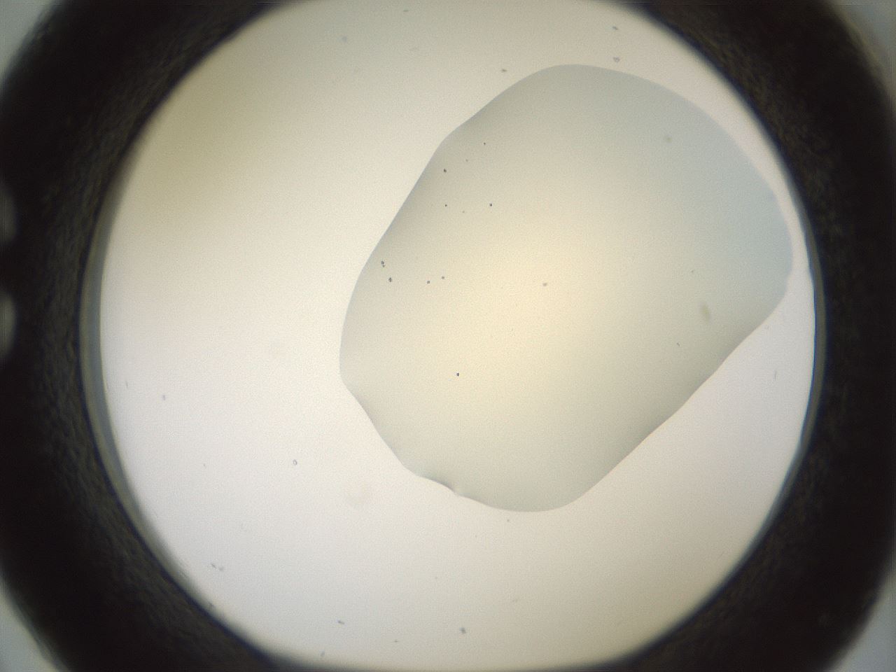 folderID16_plateID2016_batchID8964_wellNum26_profileID1_d1_r135900_ef.jpg