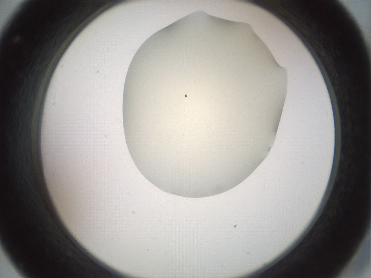 folderID16_plateID2016_batchID8964_wellNum32_profileID1_d2_r135913_ef.jpg