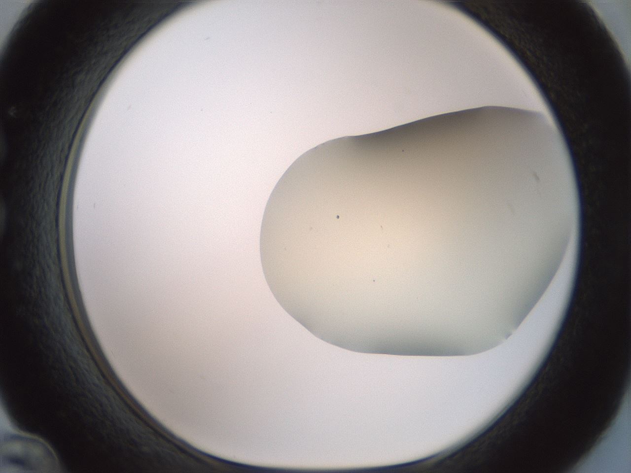 folderID16_plateID2016_batchID8964_wellNum36_profileID1_d1_r135920_ef.jpg