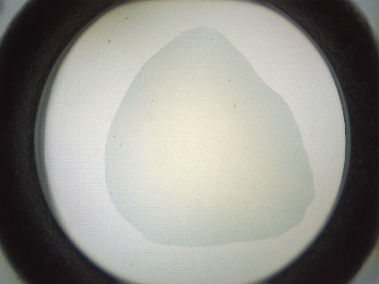 folderID16_plateID2016_batchID8964_wellNum38_profileID1_d2_r135925_ef.jpg