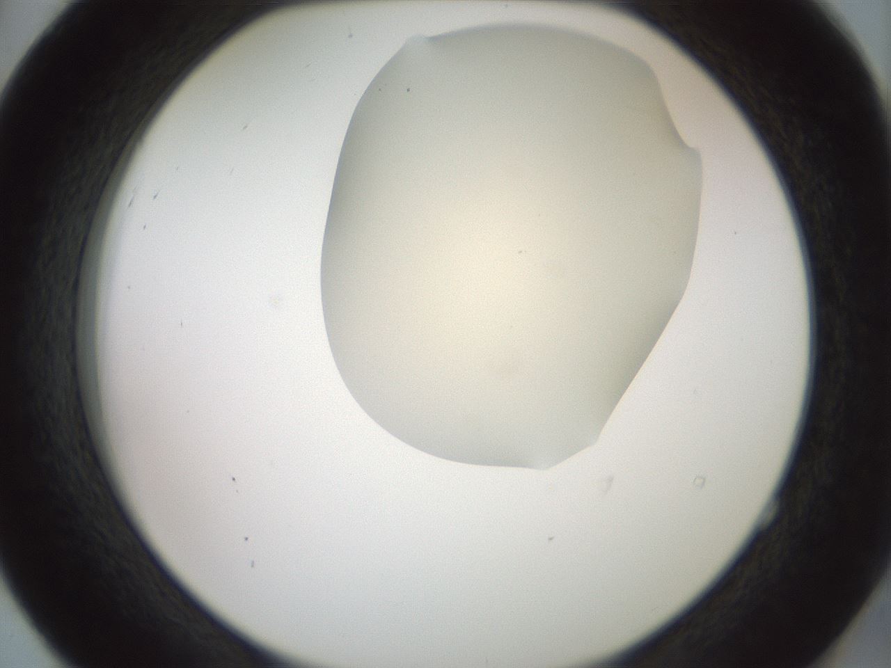 folderID16_plateID2016_batchID8964_wellNum52_profileID1_d2_r135953_ef.jpg