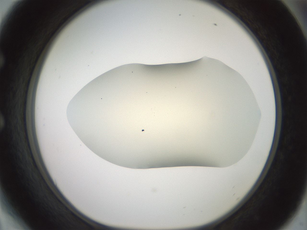 folderID16_plateID2016_batchID8964_wellNum54_profileID1_d1_r135956_ef.jpg