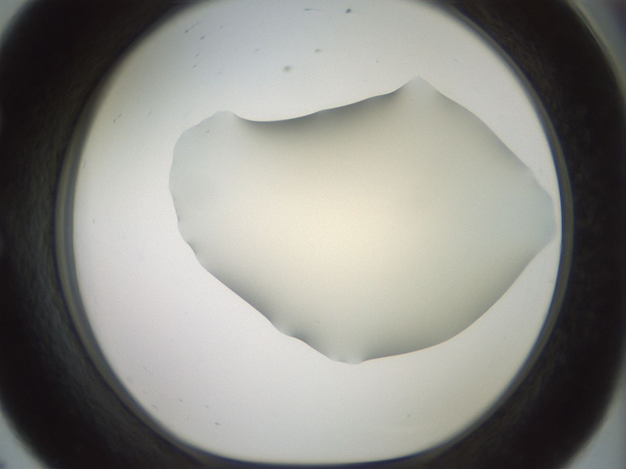 folderID16_plateID2016_batchID8964_wellNum56_profileID1_d1_r135960_ef.jpg