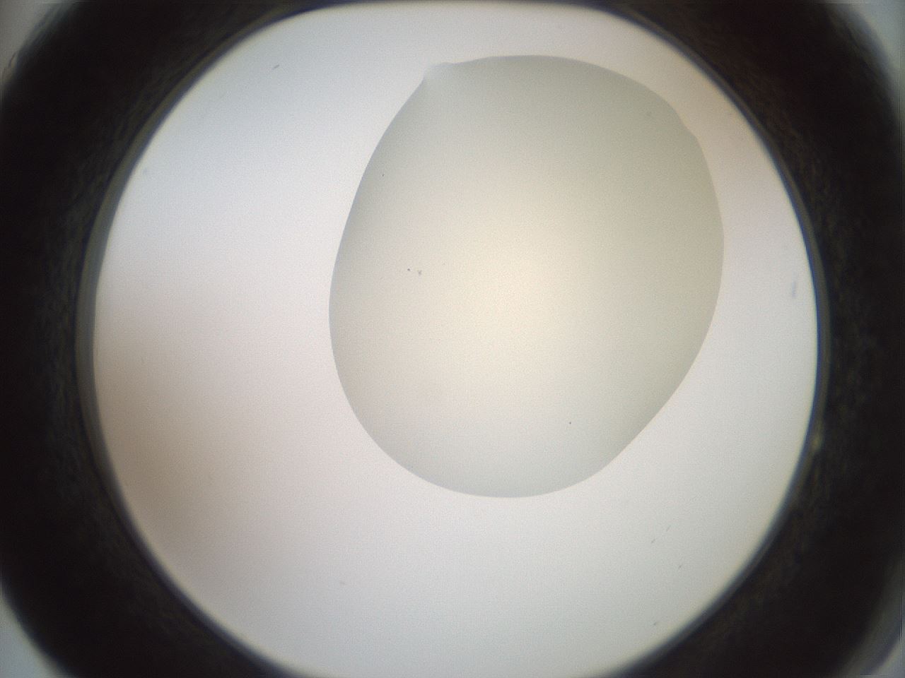 folderID16_plateID2016_batchID8964_wellNum64_profileID1_d2_r135977_ef.jpg