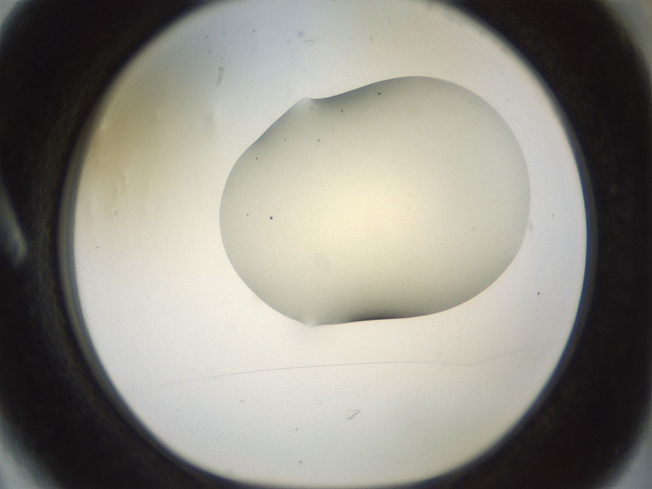 folderID16_plateID2016_batchID8964_wellNum6_profileID1_d1_r135860_ef.jpg