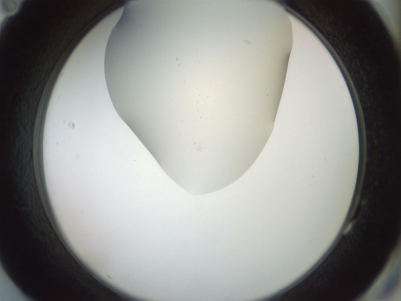 folderID16_plateID2016_batchID8964_wellNum83_profileID1_d2_r136015_ef.jpg