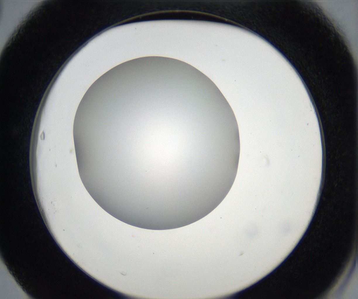 folderID171_plateID2171_batchID9605_wellNum63_profileID1_d2_r145924_ef.jpg