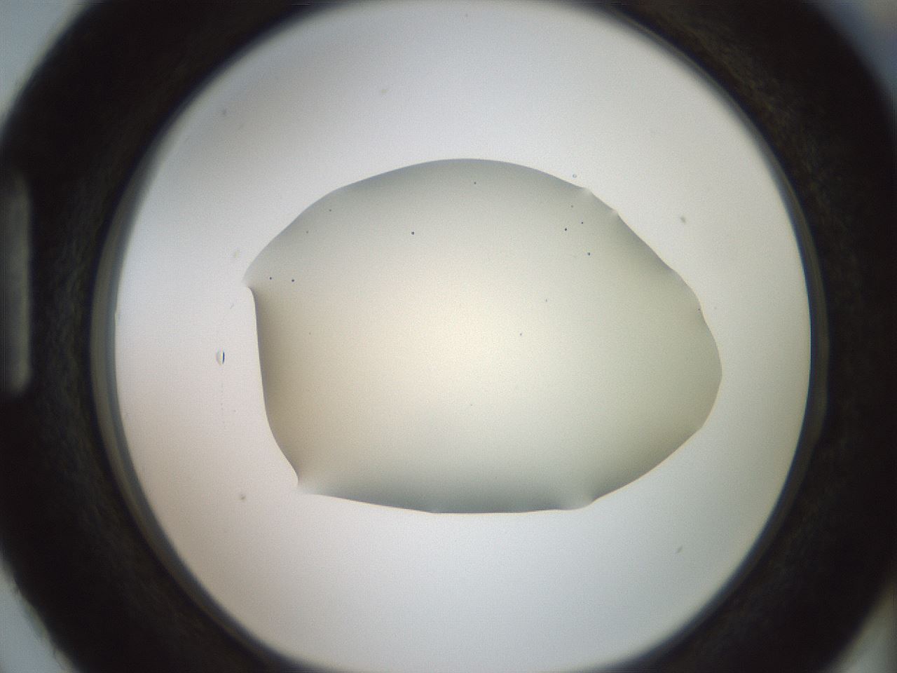 folderID16_plateID2016_batchID8964_wellNum87_profileID1_d1_r136022_ef.jpg