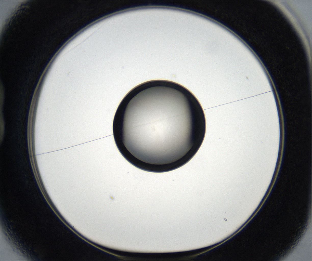 folderID171_plateID2171_batchID9605_wellNum13_profileID1_d1_r145823_ef.jpg