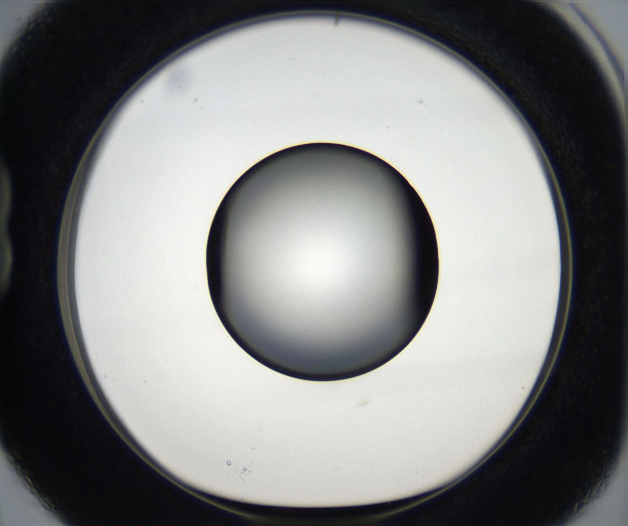 folderID171_plateID2171_batchID9605_wellNum15_profileID1_d1_r145827_ef.jpg