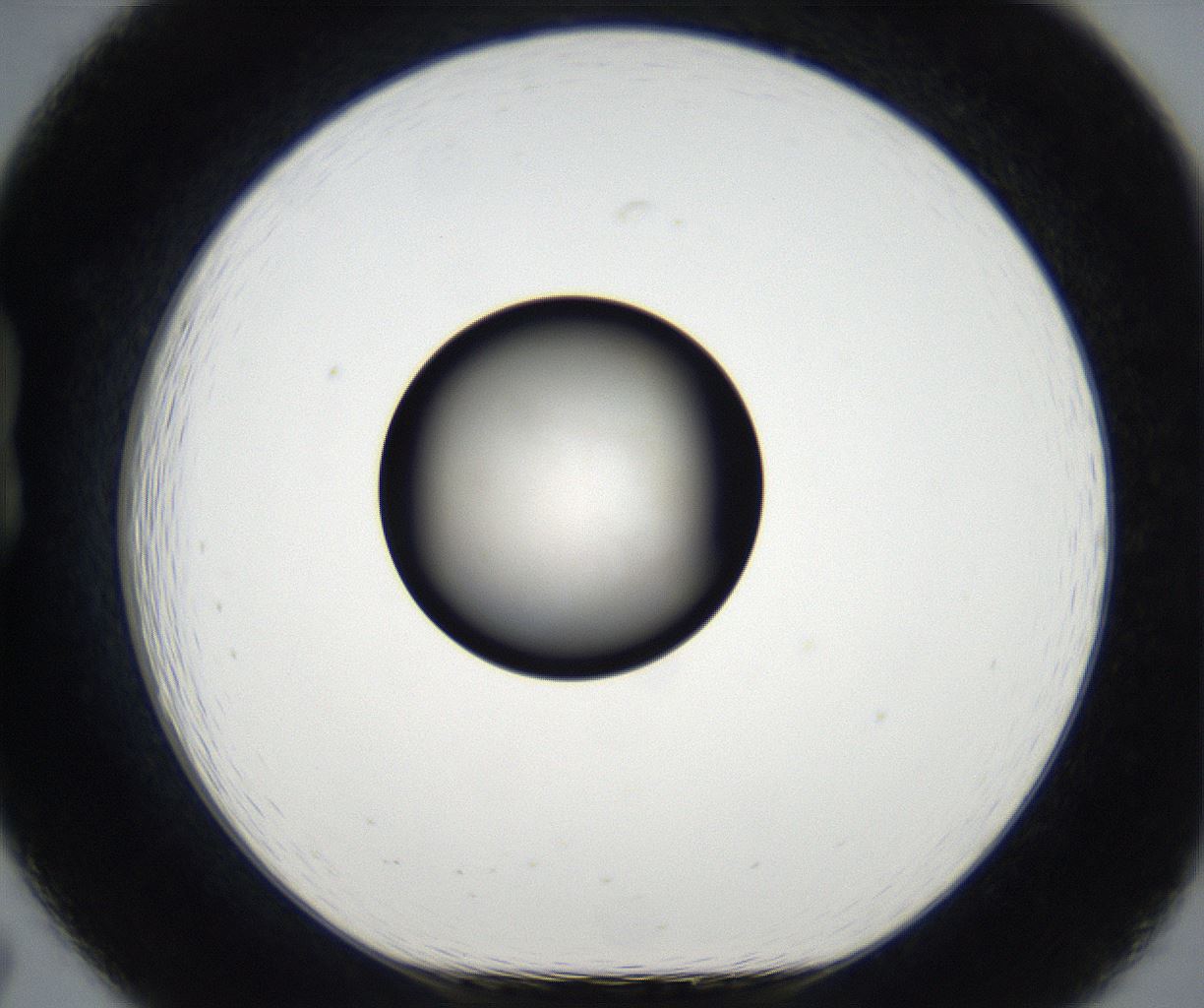 folderID171_plateID2171_batchID9605_wellNum19_profileID1_d1_r145835_ef.jpg