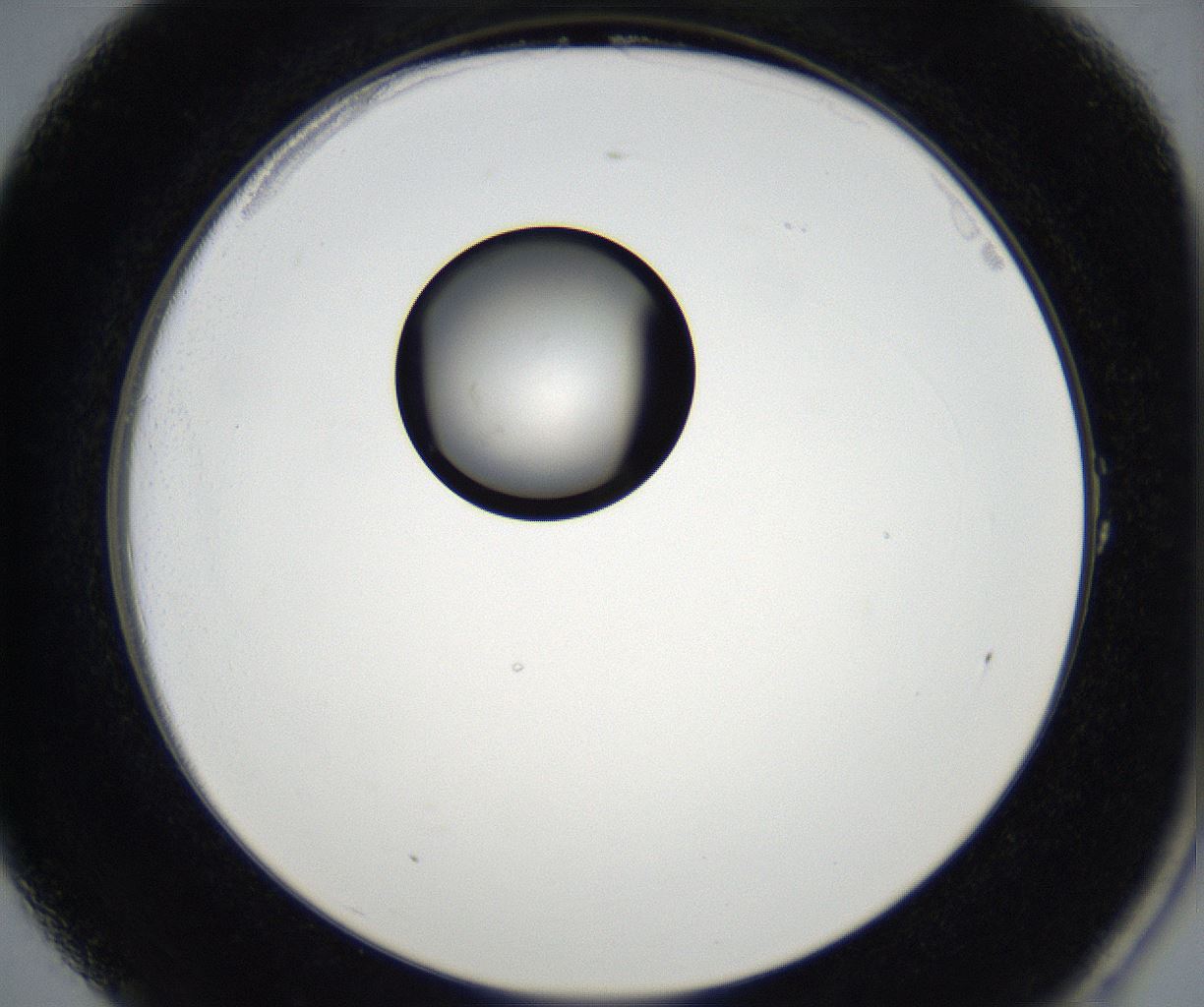 folderID171_plateID2171_batchID9605_wellNum1_profileID1_d2_r145800_ef.jpg
