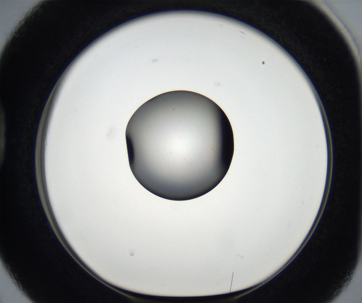 folderID171_plateID2171_batchID9605_wellNum38_profileID1_d1_r145873_ef.jpg
