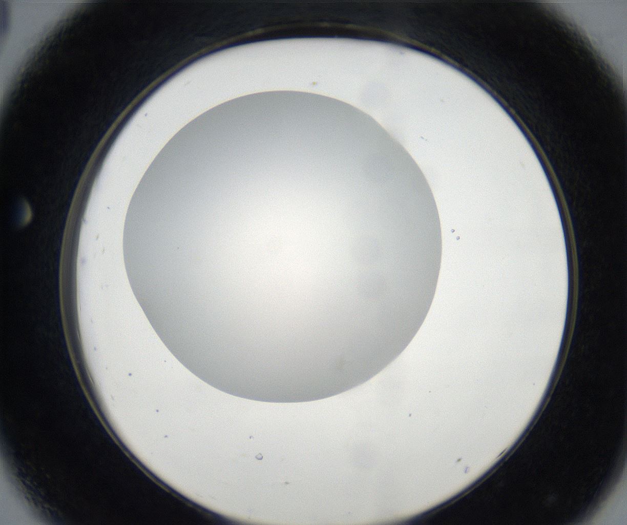 folderID171_plateID2171_batchID9605_wellNum44_profileID1_d2_r145886_ef.jpg