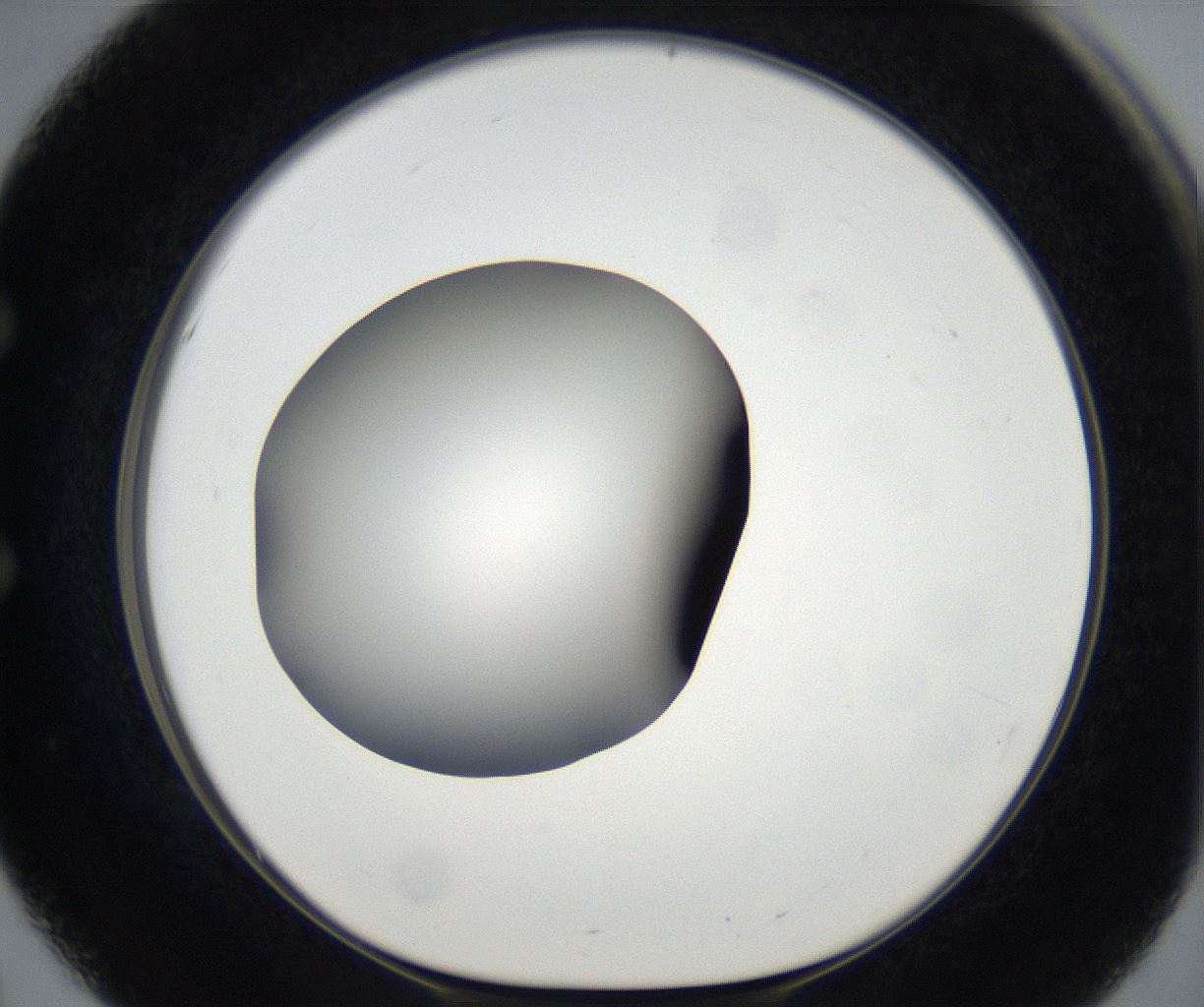 folderID171_plateID2171_batchID9605_wellNum51_profileID1_d1_r145899_ef.jpg